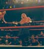 Raven - TNA - 04.09.03