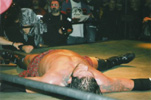 Raven - BCW - 12.12.04